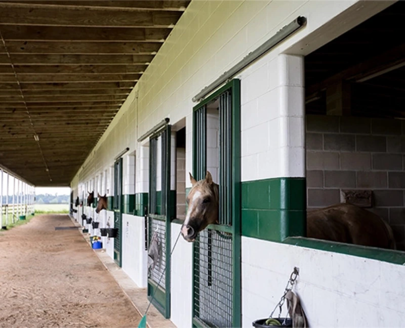 Mending Fences Horse Stables