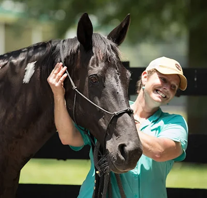 Mending Fences Horse Therapy